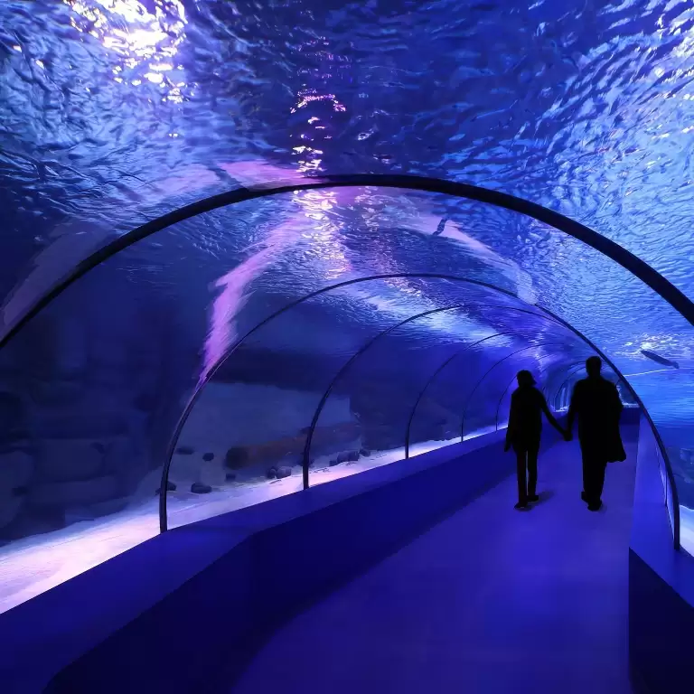 SEA LIFE London Aquarium - Entry Ticket