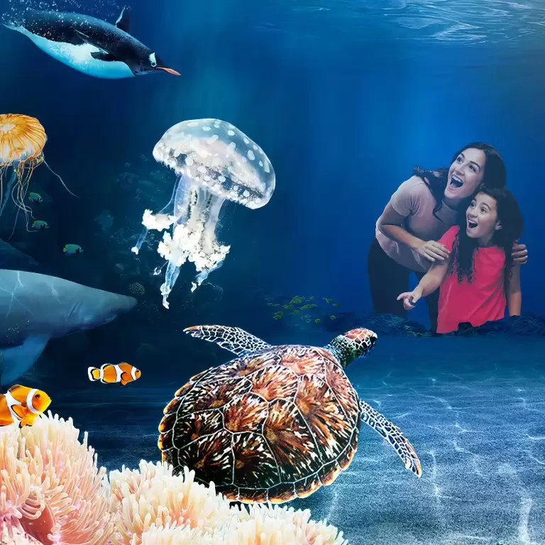 SEA LIFE London Aquarium - Entry Ticket
