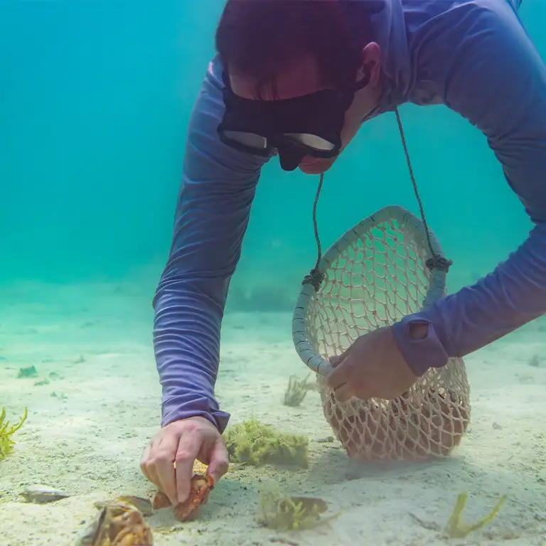 موتی کی سنورکلنگ