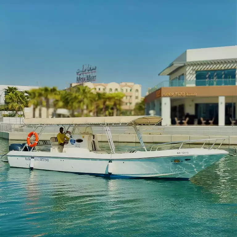 Private Boat Trip to Saada Island