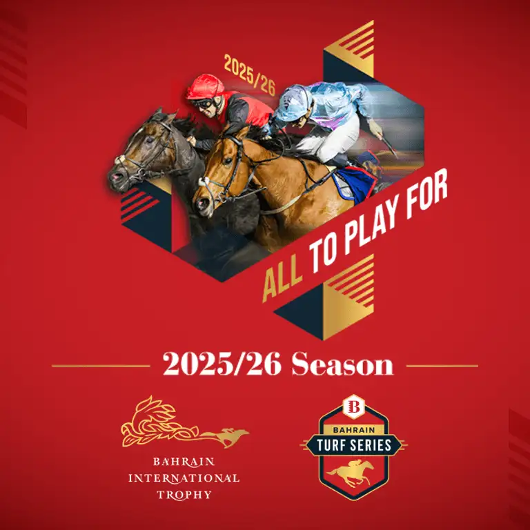 السباق في نادي راشد للفروسية وسباق الخيل