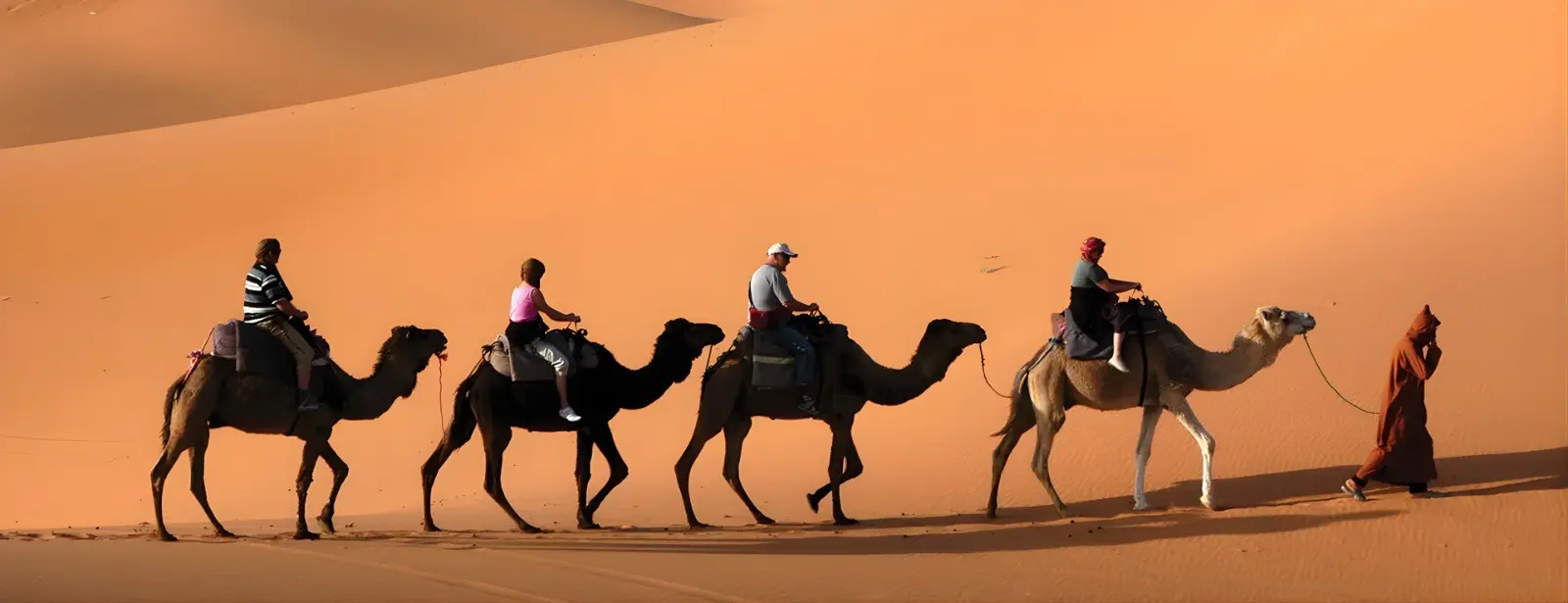 Camel Caravan at Kasbah Le Mirage & Spa