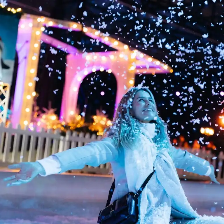 Amsterdam Winter Paradise: Entry Ticket