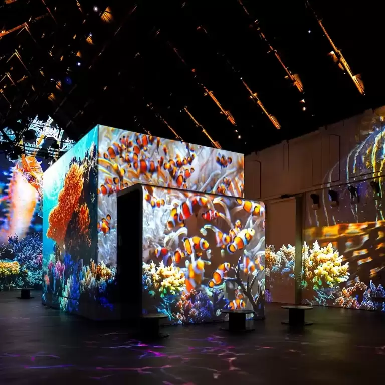 Fabrique des Lumières: The Sea