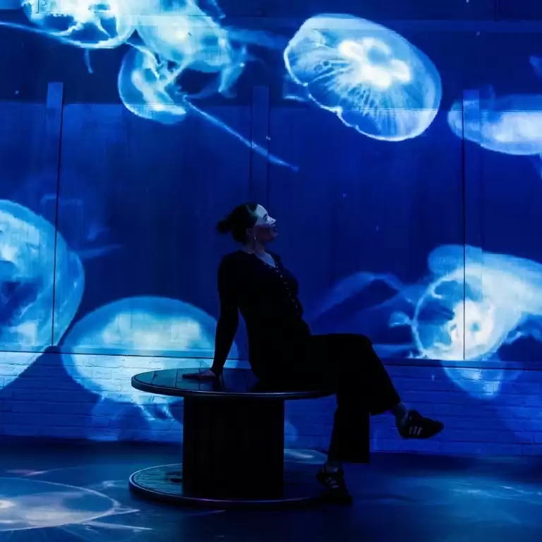 Fabrique des Lumières: The Sea
