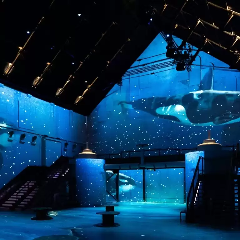 Fabrique des Lumières: The Sea