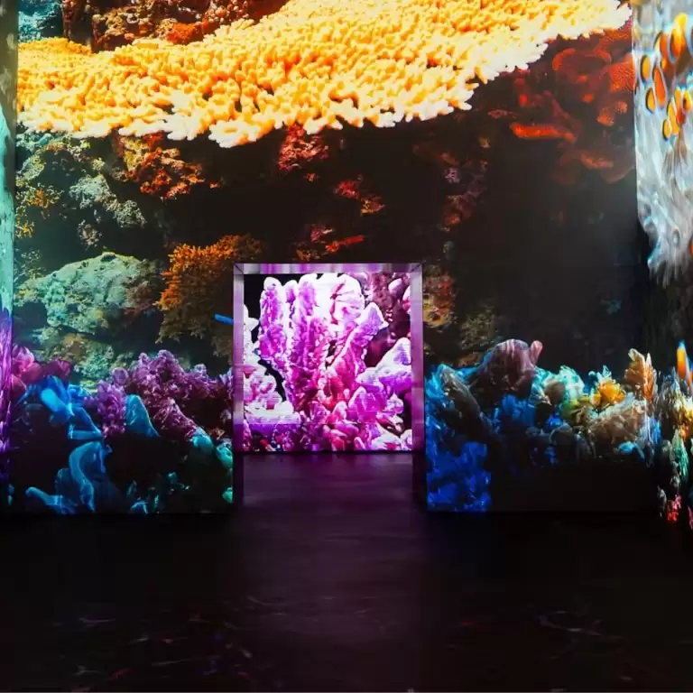 Fabrique des Lumières: The Sea