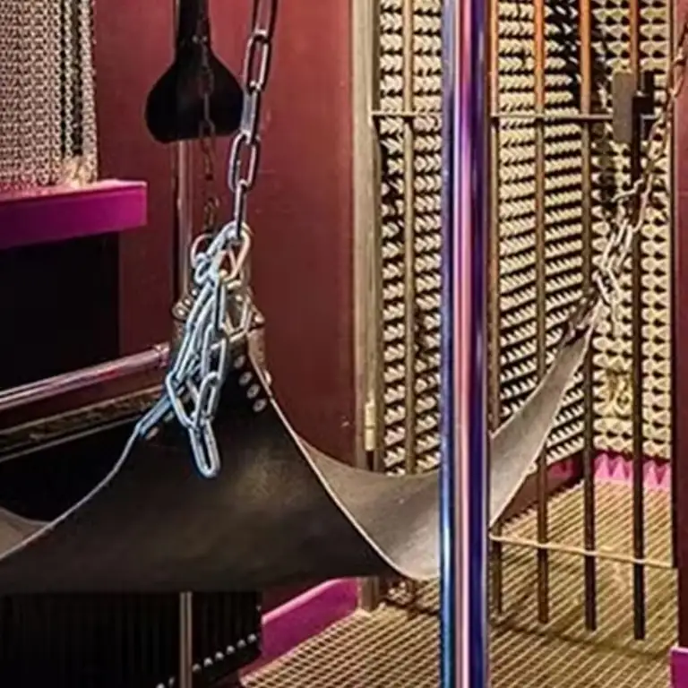 रेड लाइट सीक्रेट्स म्यूजियम: प्रवेश टिकट