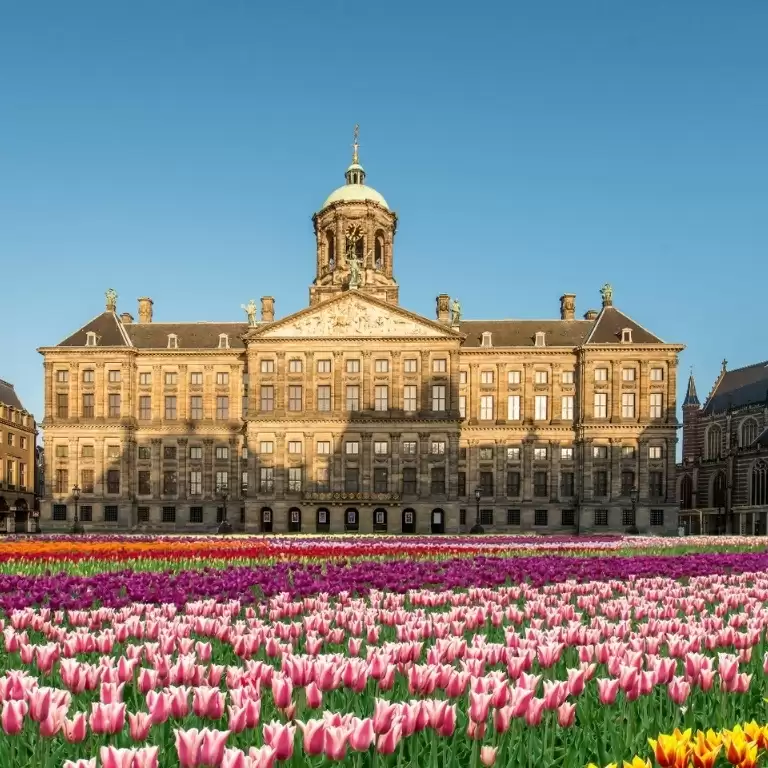 Royal Palace Amsterdam (Koninklijk Paleis): Entry Ticket