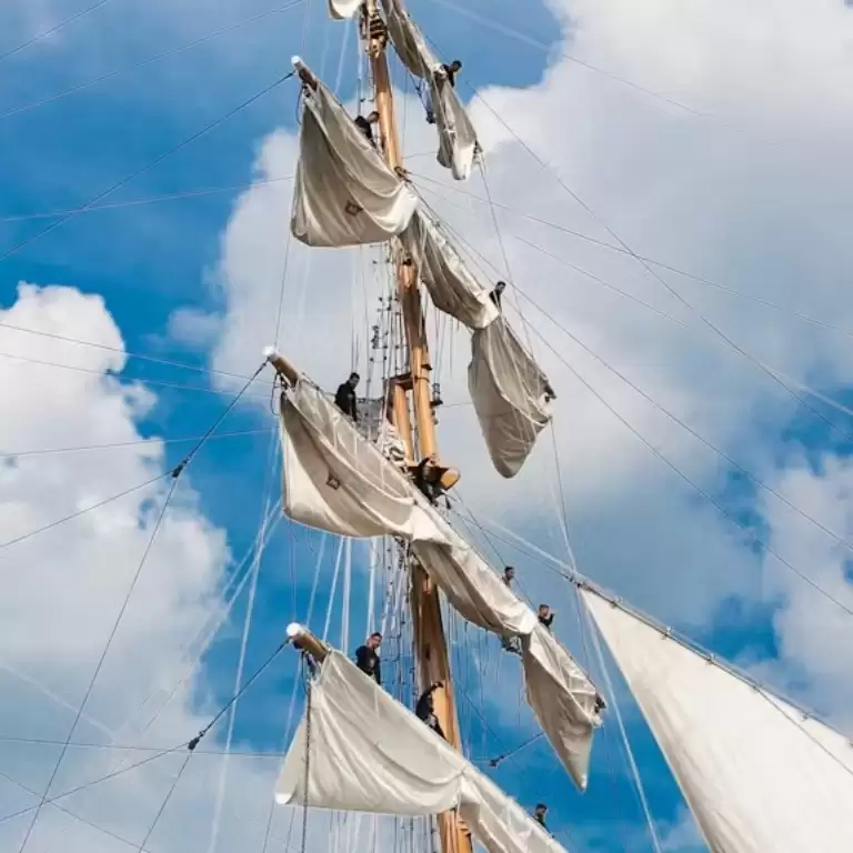 SAIL Amsterdam 2025: सैलून बोट टूर