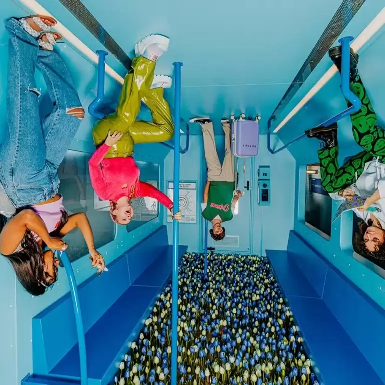 The Upside Down: Entry Ticket