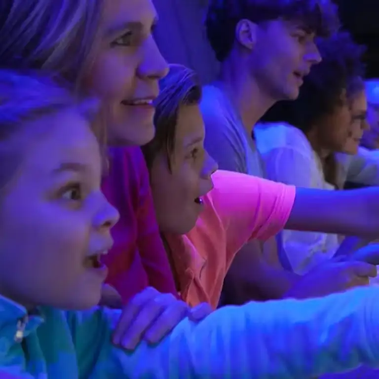 THIS IS HOLLAND: Entry Ticket