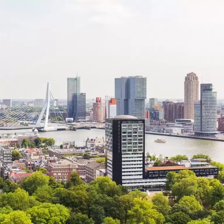 Tour to Delft, Rotterdam and Hague from Amsterdam