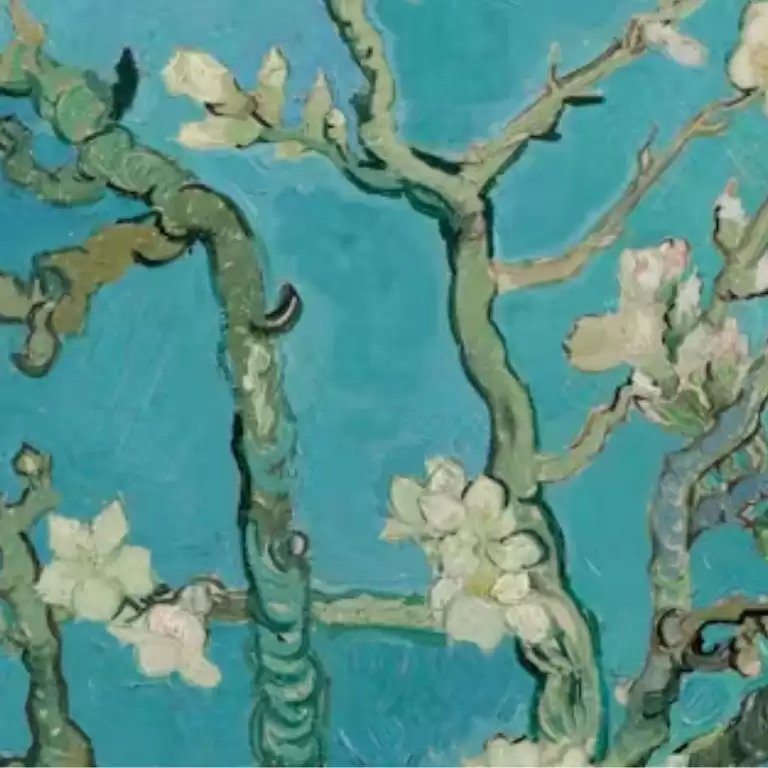 Van Gogh Museum entry ticket