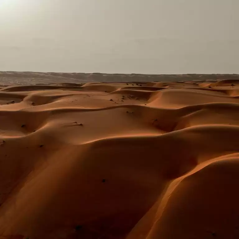 Eid Destination: Sunrise