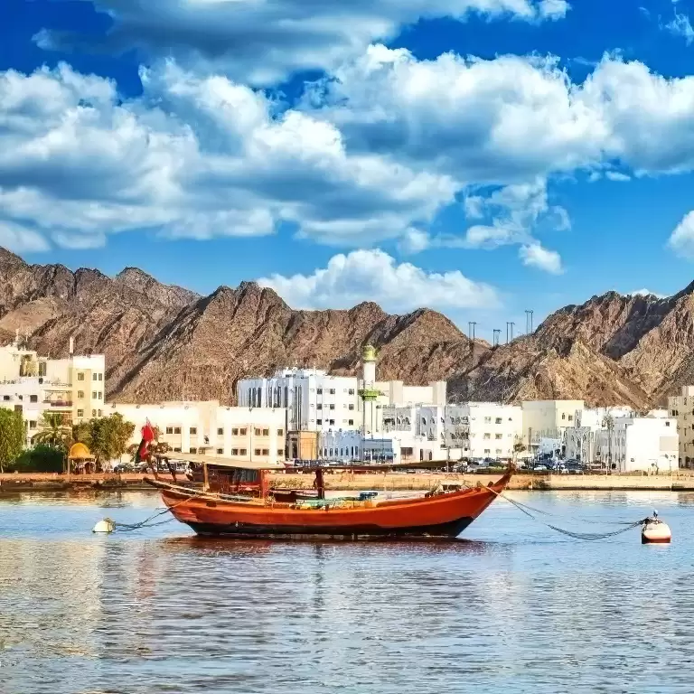 Muscat By Night City Tour (Pick Up Muscat Area)