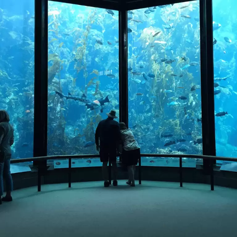 Oman Aquarium
