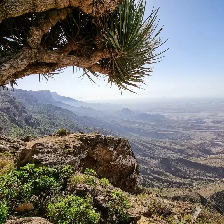 Eid: Explore Salalah