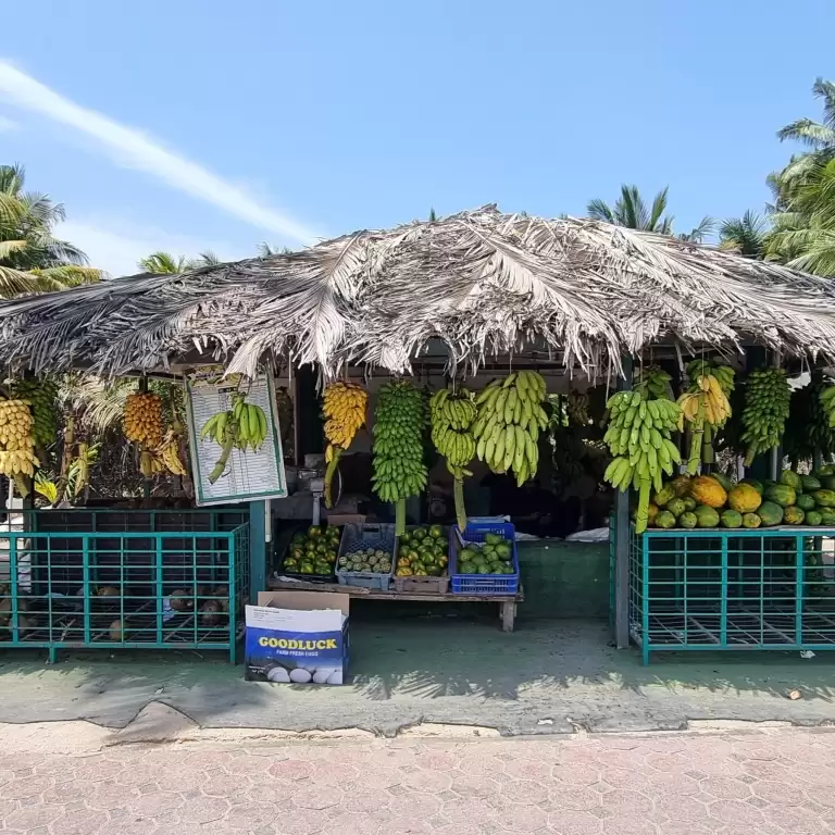 Eid: Explore Salalah
