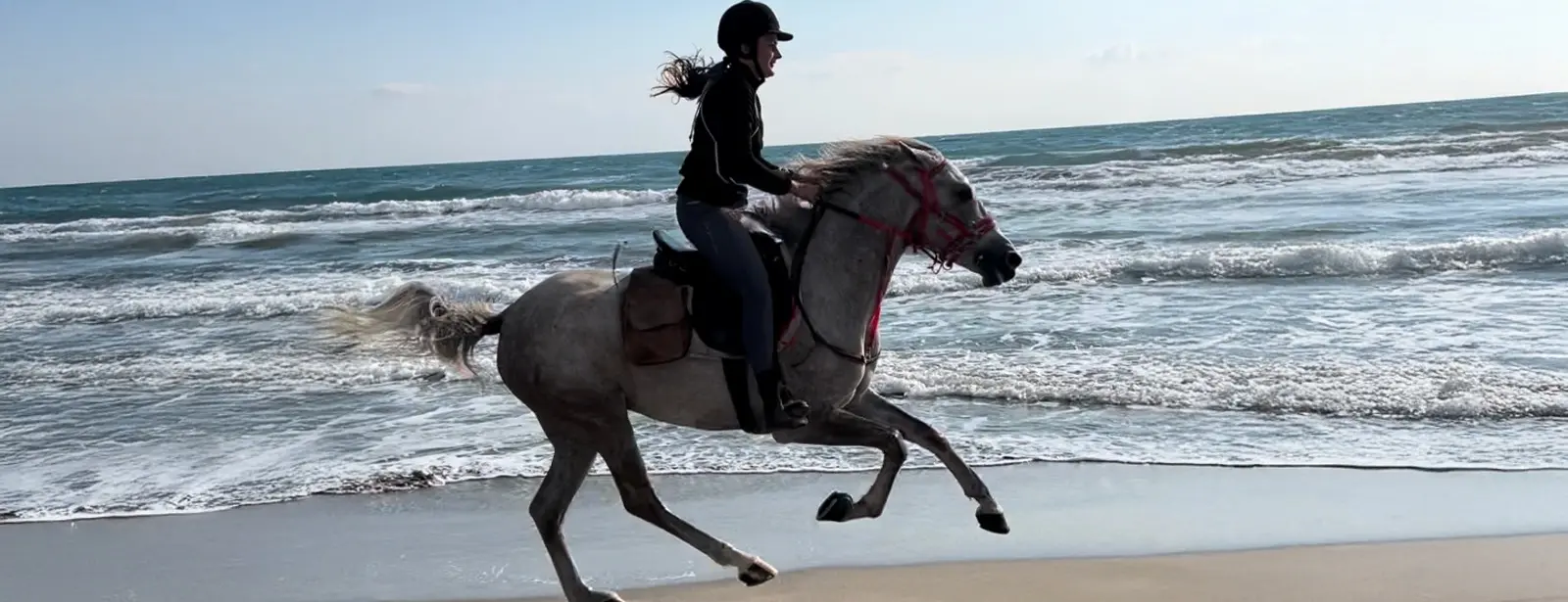 Horse Riding at Shahaniya - Qool Qatar