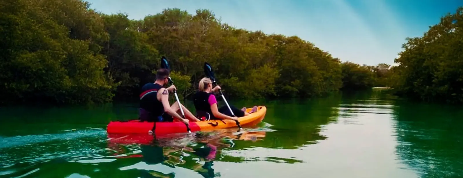 Mangroves Kayaking at Purple Island - Qool Qatar