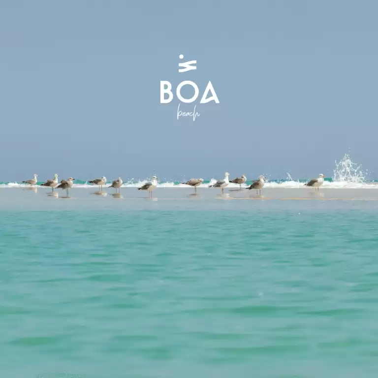 BOA The Beach in Jeddah