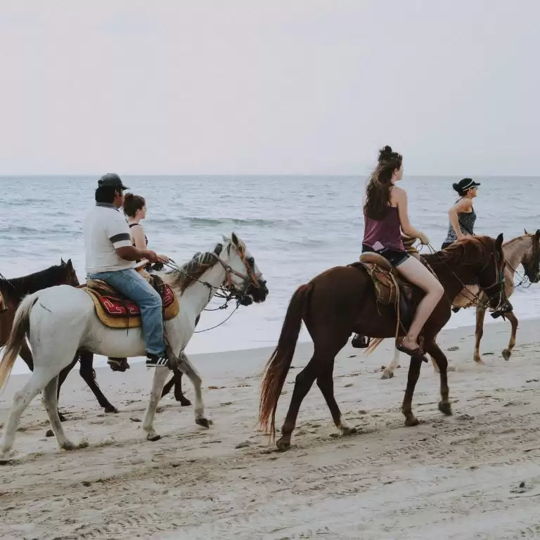 Horse Riding in Jeddah