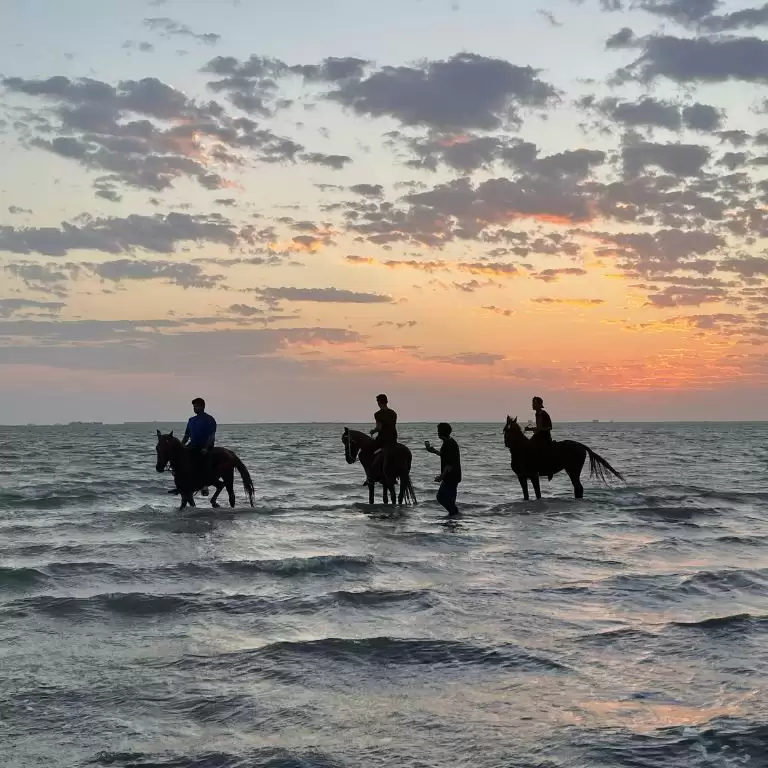 Horse Riding in Jeddah