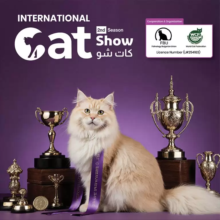 Riyad'da Kedi Gösterisi
