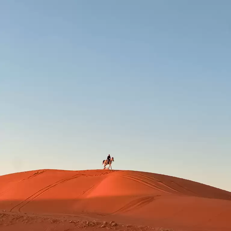 Horse Riding in Riyadh