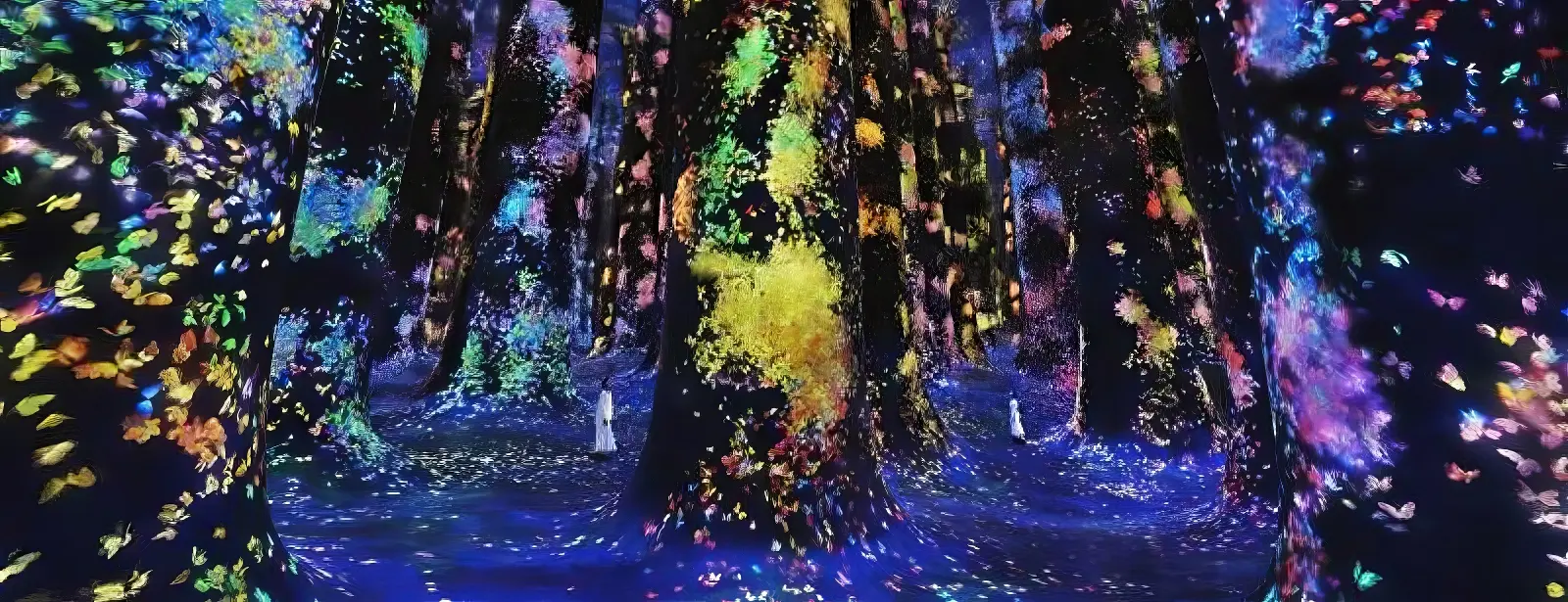 TeamLab Phenomena Abu Dhabi - Dated