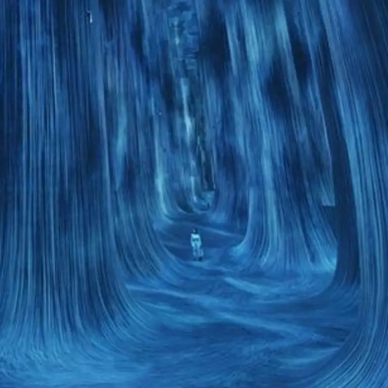 TeamLab Phenomena Abu Dhabi