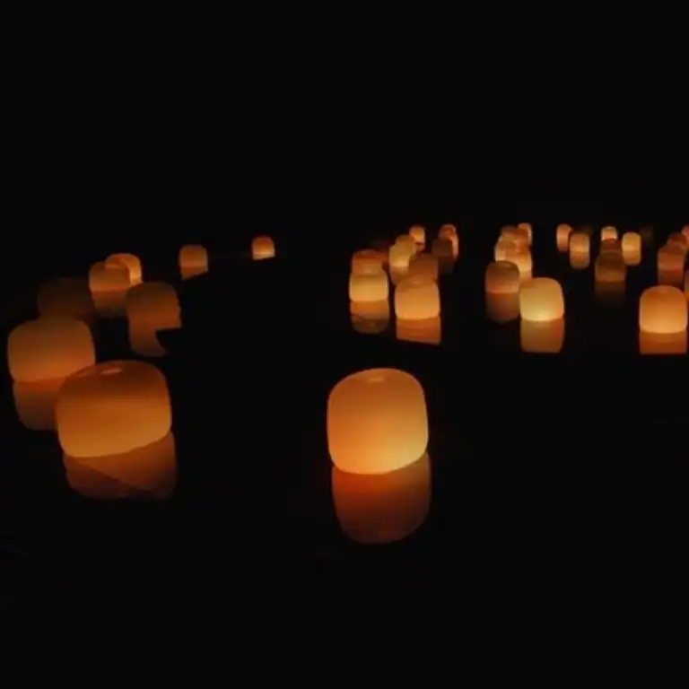 TeamLab Phenomena + Qasr Al Watan - Combo