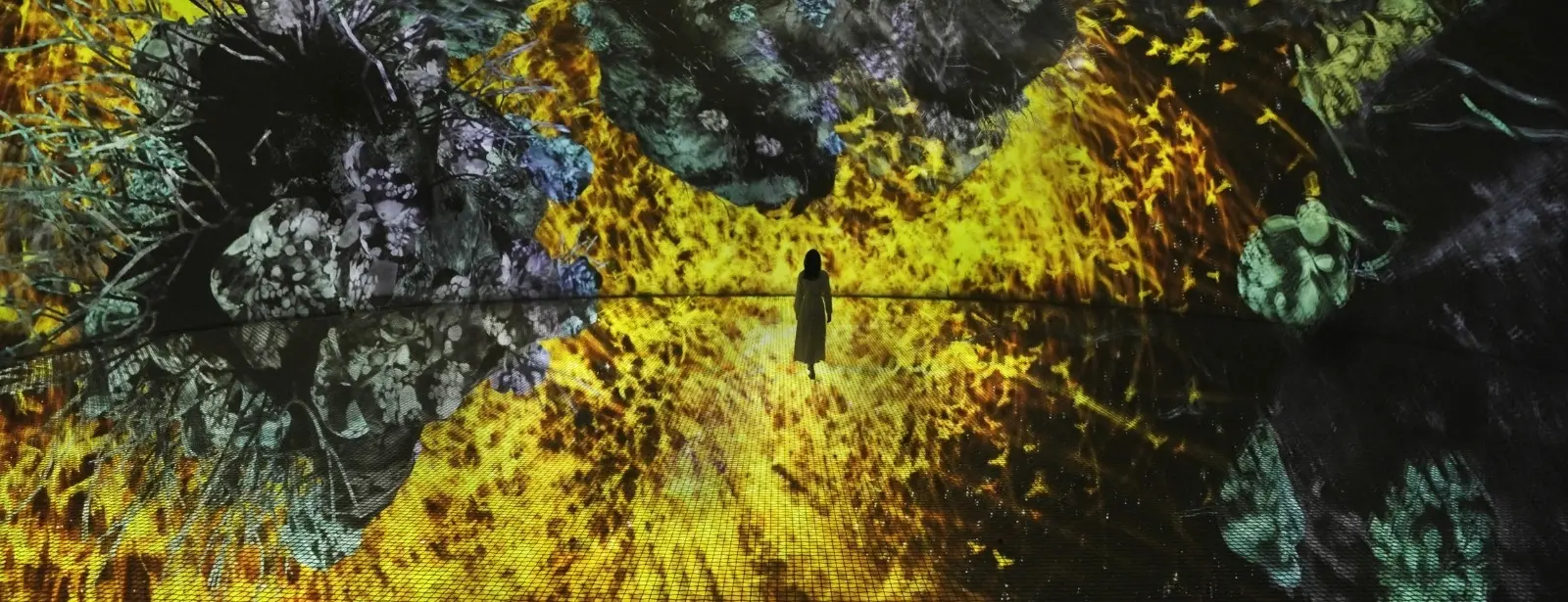 TeamLab Phenomena + Yas Waterworld - Combo