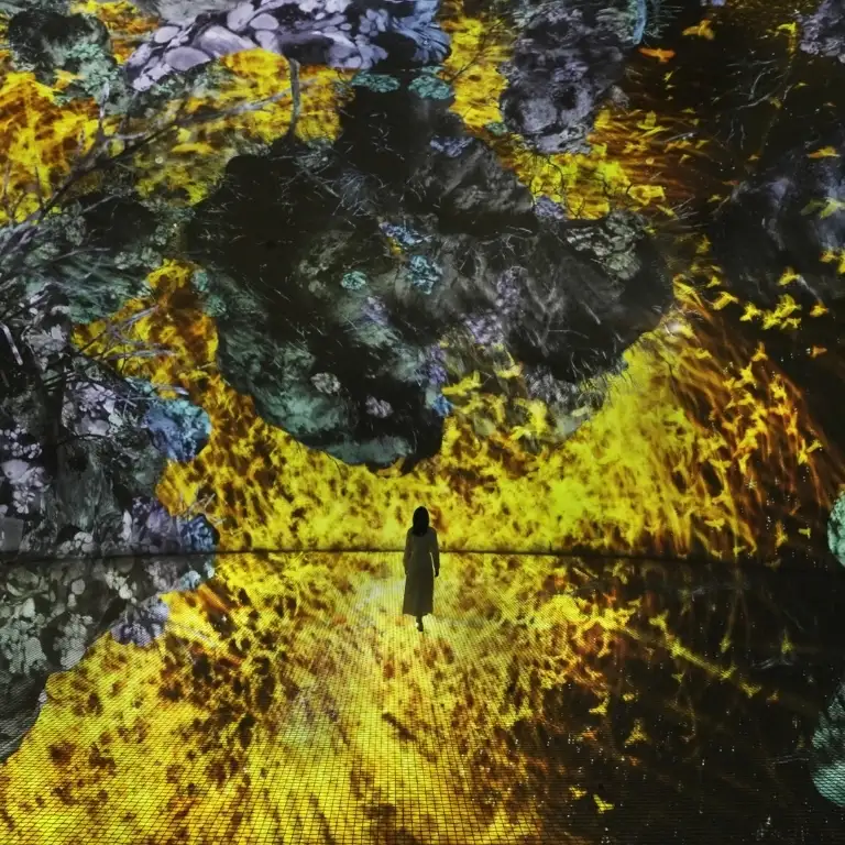 टीमलैब फेनोमेना + यास वाटरवर्ल्ड - कॉम्बो