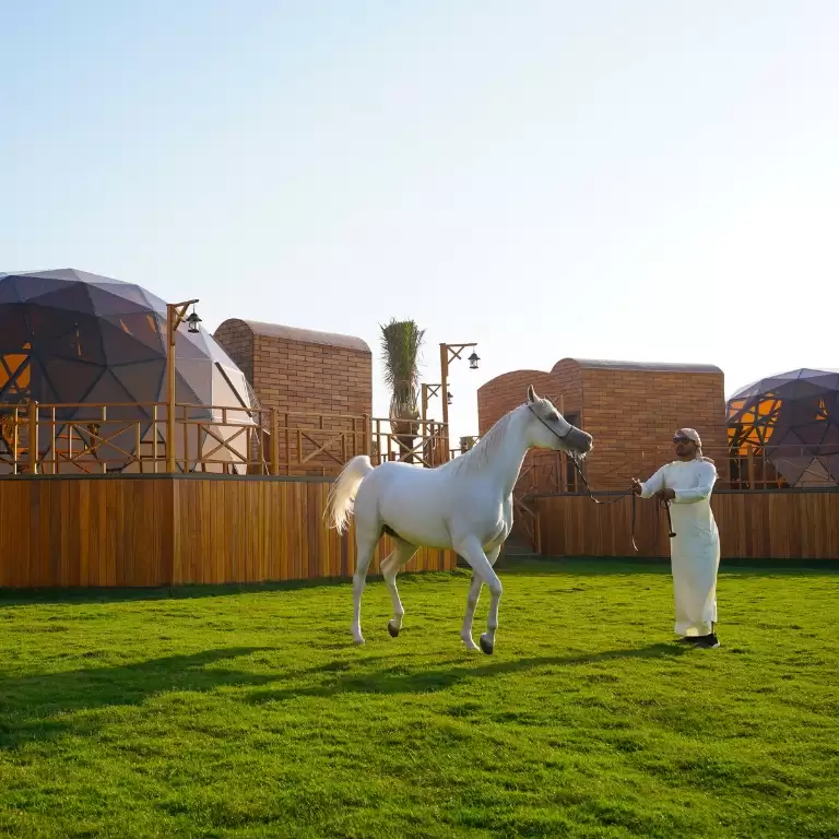 Al Marmoom Domes Desert Glamping & Dining experience in Dubai