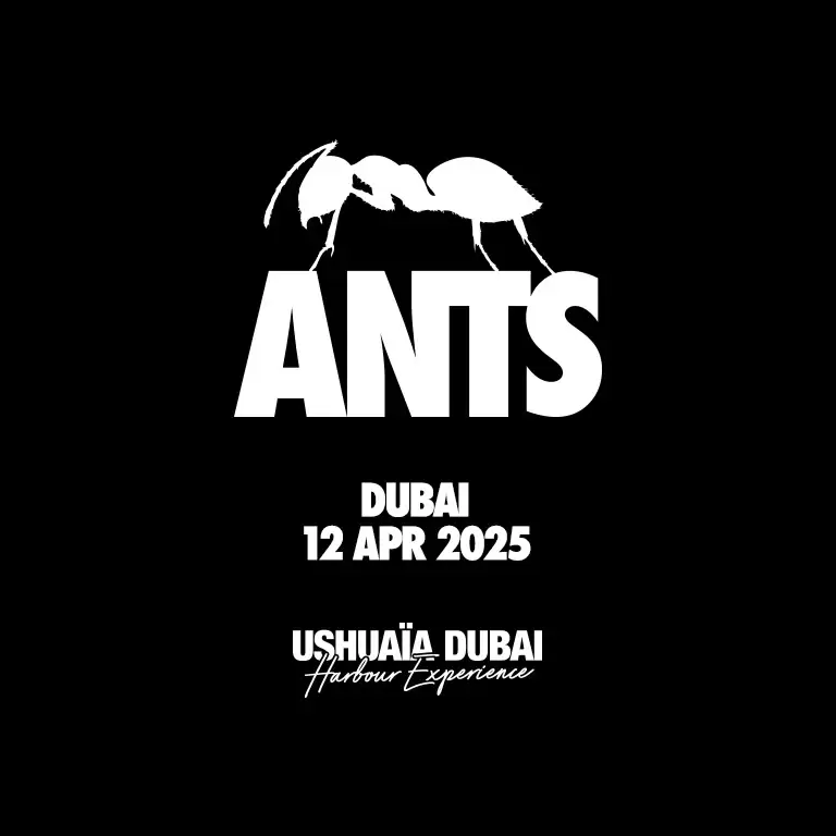 ANTS at Ushuaïa Dubai Harbour Experience