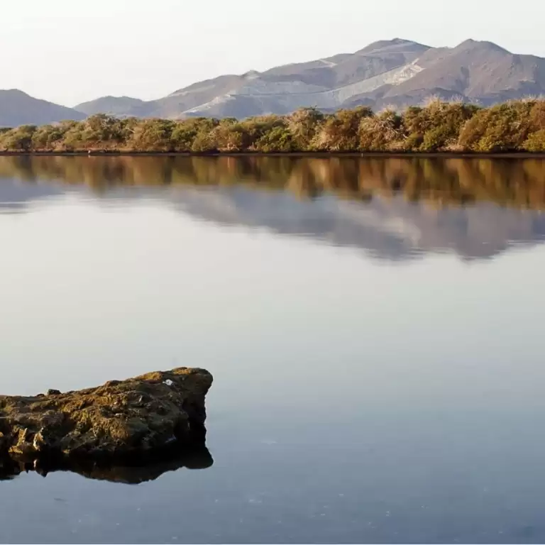 Arabian Adventures - Wadi Adventure