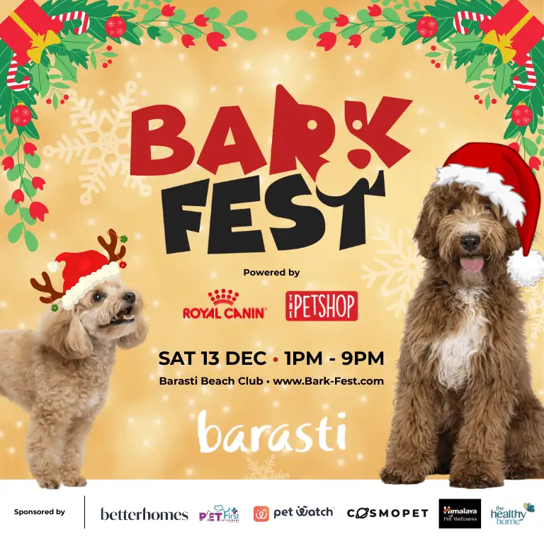 Barkfest in Dubai