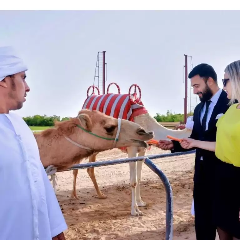 Camelicious Dubai