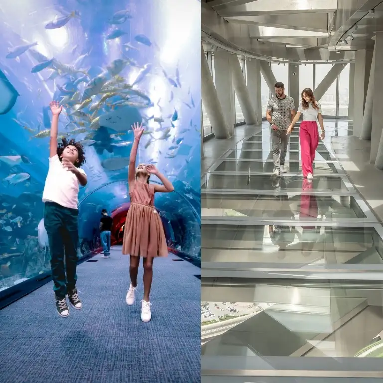 दुबई एक्वेरियम + स्लाइड के साथ स्काई व्यूज़ - कॉम्बो