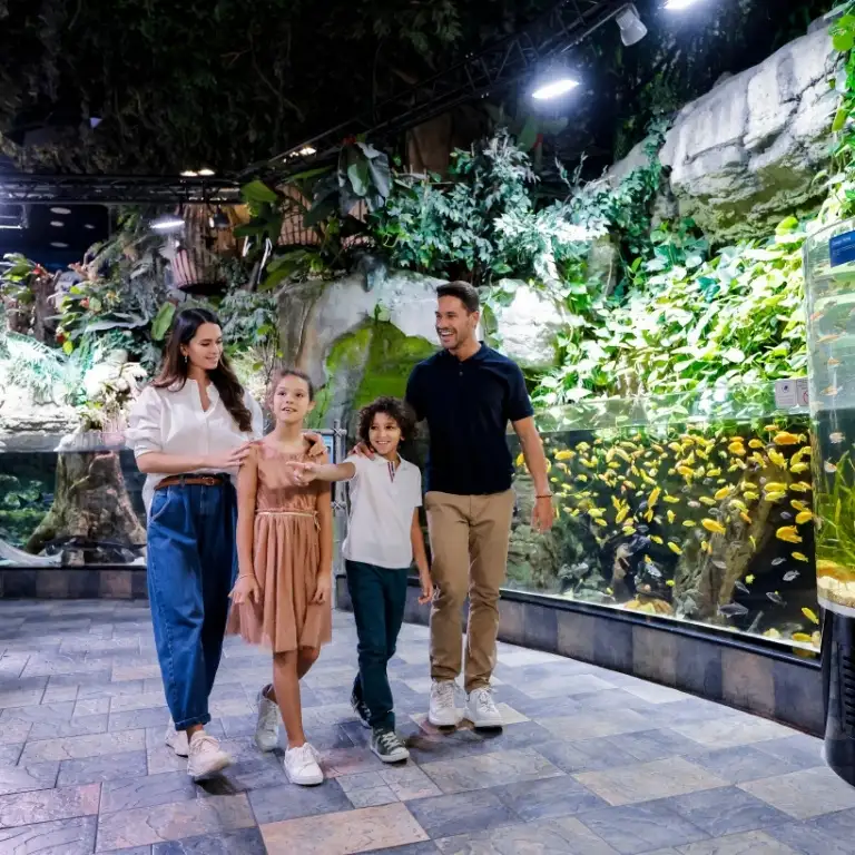 दुबई एक्वेरियम + स्लाइड के साथ स्काई व्यूज़ - कॉम्बो