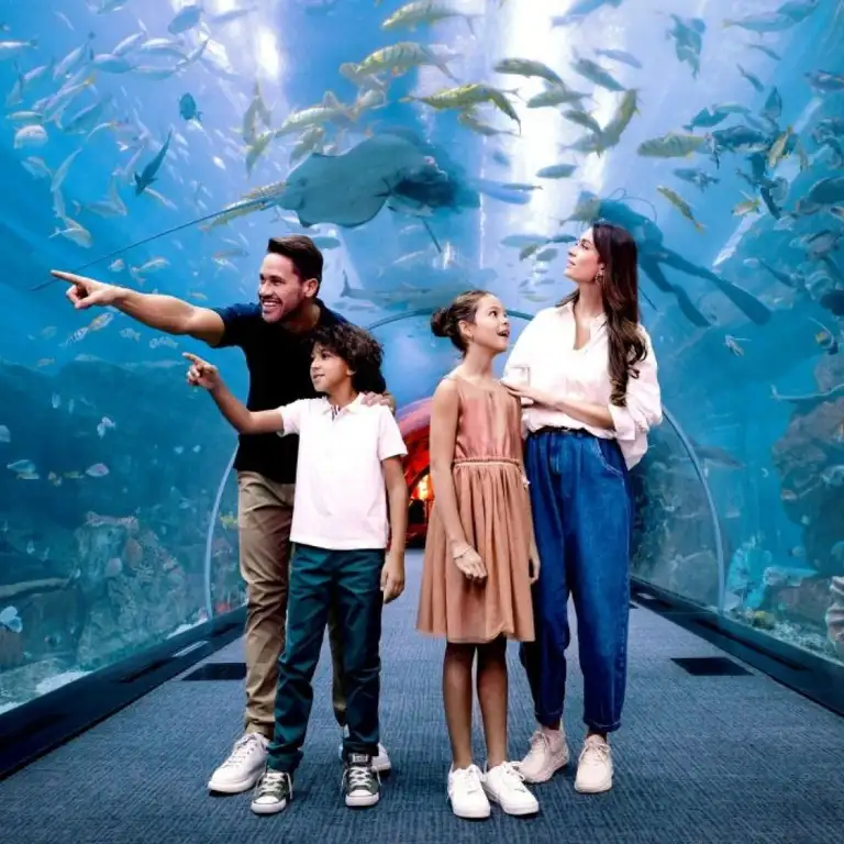 Dubai Aquarium & Underwater Zoo - Gold
