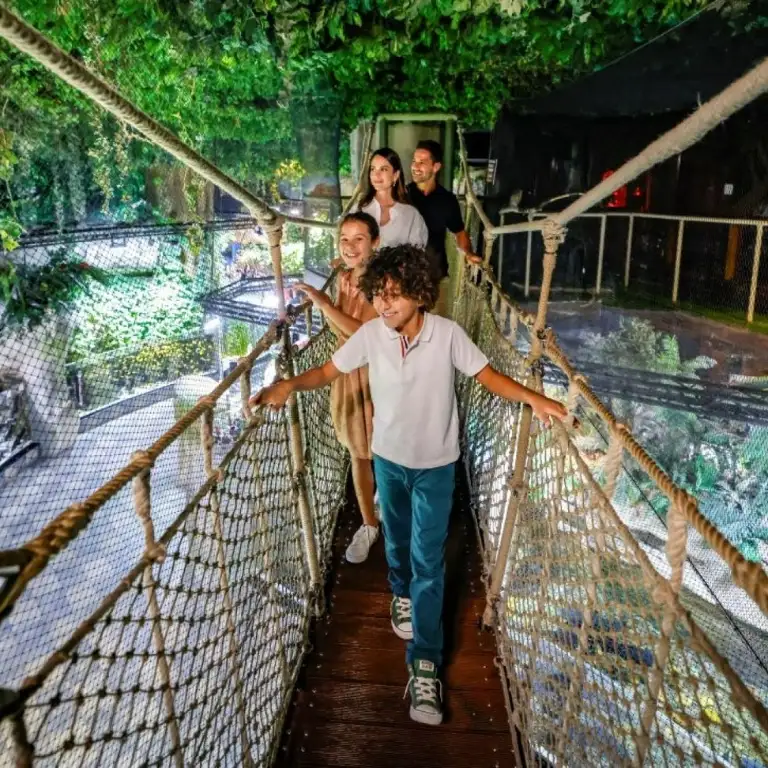 Dubai Aquarium & Underwater Zoo - Gold