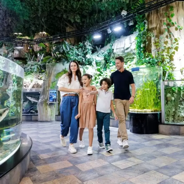 Dubai Aquarium & Underwater Zoo - Ultimate Experience