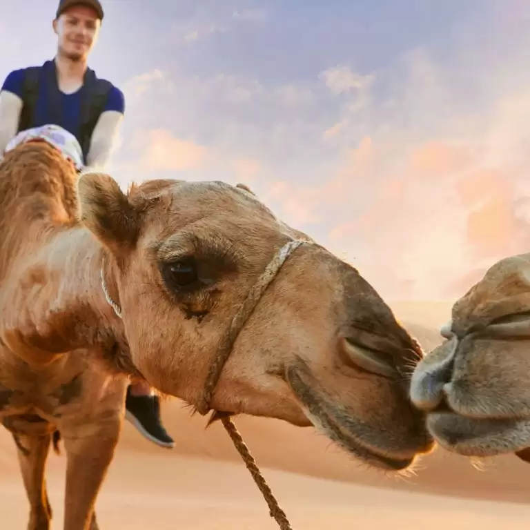 Dubai Desert Discovery: Red Dunes Safari, Sandboard & Camel Ride