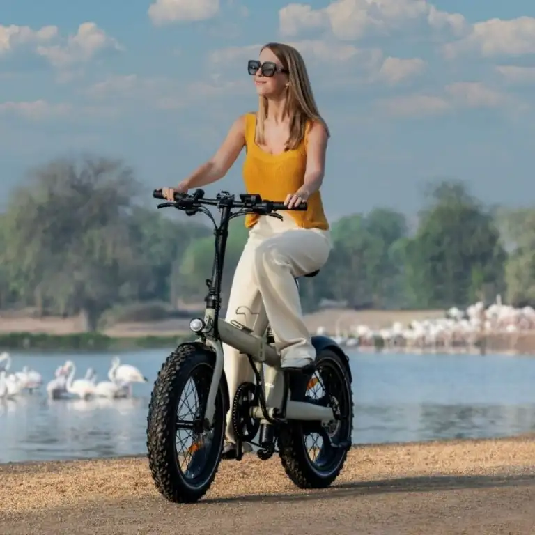 Электровелосипедный опыт в пустыне Дубая - поездка на рассвете или закате