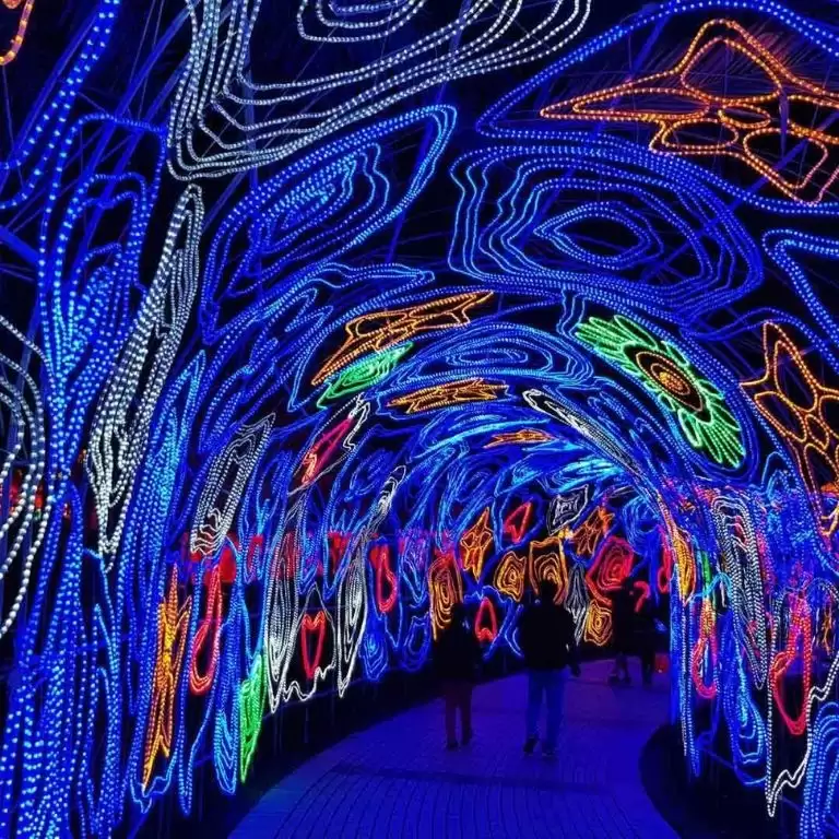 Dubai Garden Glow