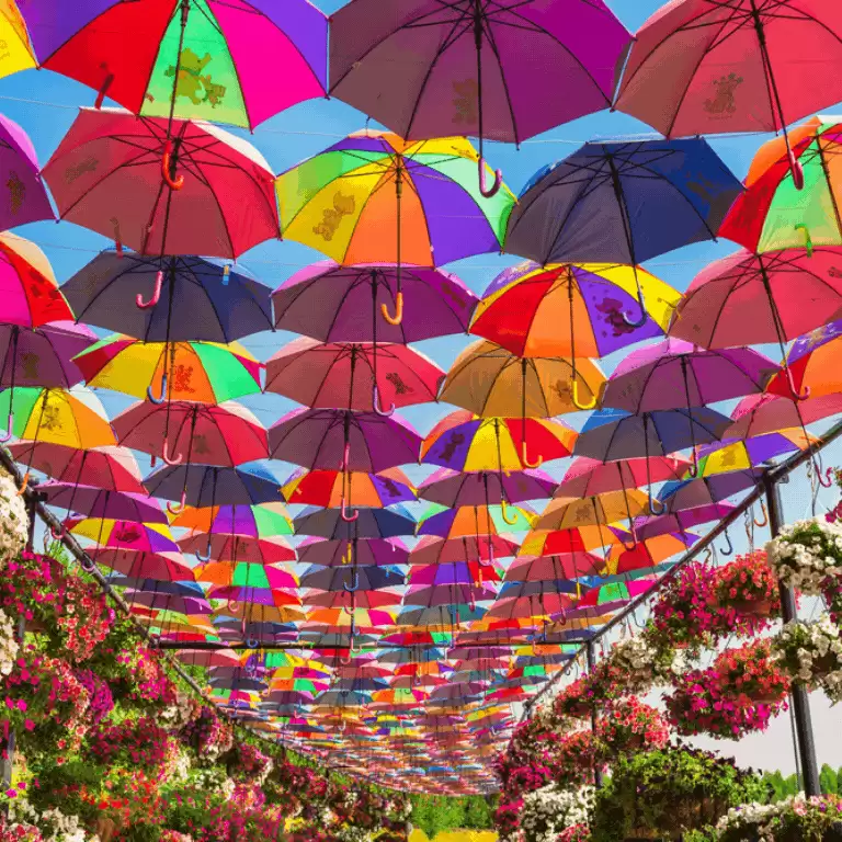 Dubai Miracle Garden