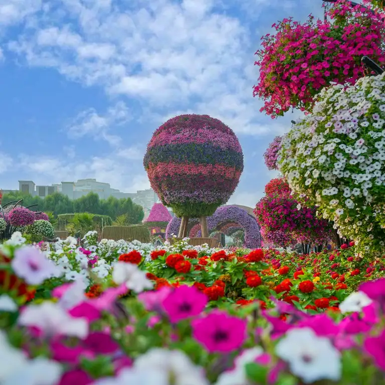 Global Village + Miracle Garden - Combo